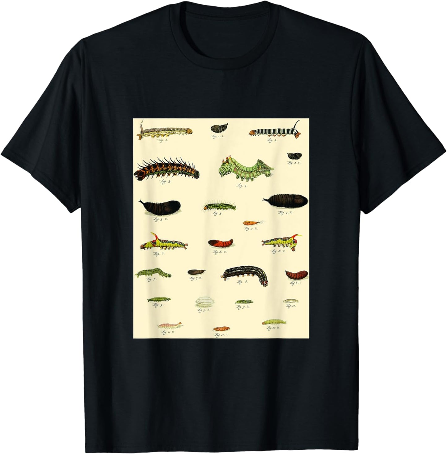 Retro Vintage Insects & Bug Invertebrates Drawings T-shirt T-Shirt