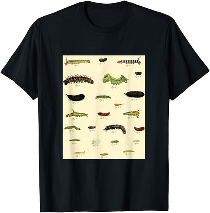 Retro Vintage Insects & Bug Invertebrates Drawings T-shirt T-Shirt