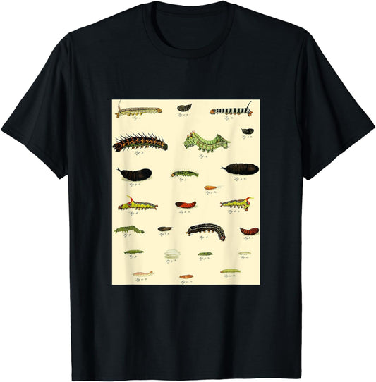 Retro Vintage Insects & Bug Invertebrates Drawings T-shirt T-Shirt