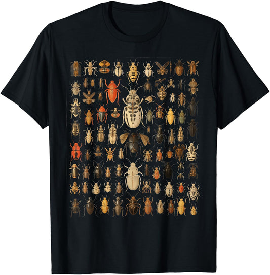 Insects Collection Entomology Bugs Species Insect Lover T-Shirt