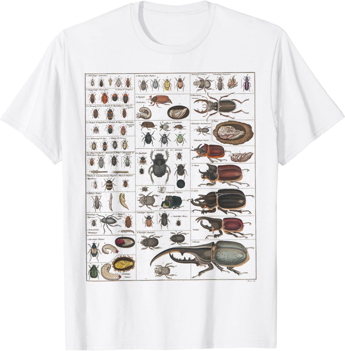 Insects Collection Species Bugs vintage Chart Entomology T-Shirt